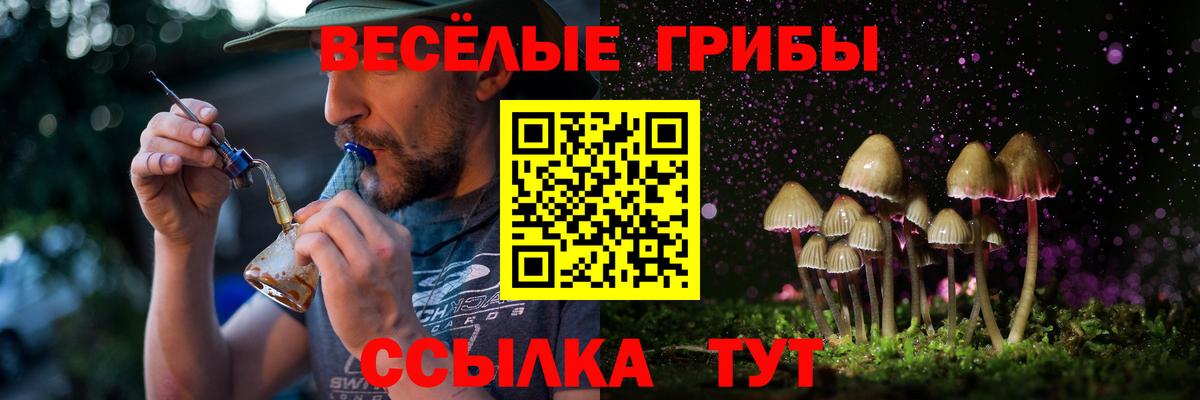 Галлюциногенные грибы Psilocybe  Псилоцибиновые грибы ЛСД  Зеленокумск  Вход с VPN 